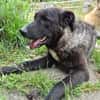 Lustige Betti sucht dich