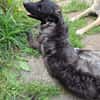 Lustige Betti sucht dich