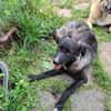 Lustige Betti sucht dich