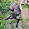 Lustige Betti sucht dich