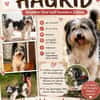 HAGRID, Mix, geb. 03/2019