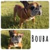 Bouba