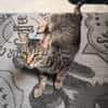 Schmusekater Tigar sucht passende Dosenöffner