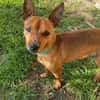 Prinz sucht Einzelthron