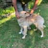 Lieber Luca sucht seine Familie