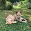 Lieber Luca sucht seine Familie