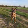 Perseas aus 50997 Köln sucht sein Zu Hause
