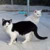 Entspannte Viona sucht ruhiges Zuhause