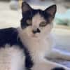 Entspannte Viona sucht ruhiges Zuhause