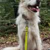 Knut sucht seinen Deckel/ wartet in 82284