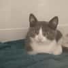 Arka  "en cours d'adoption"