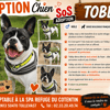 Tobby