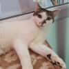 PATY