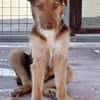 RUBBLE (Maria)