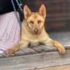 ROKY (Maria)