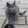 BLUE sucht sein Zuhause