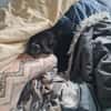 Kleiner Jordy aus Bochum sucht neues Zuhause