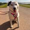 liebe, freundliche Seniorin CARLA