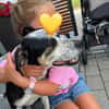 Trudi, sanfte Herzenshündin, ca. 7 Jahre