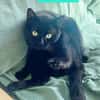 MESSIRE