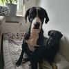 MONTY-LIEBENSWERTER JUNGSPUND