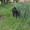 🍀 Winnie sucht sein für immer Zuhause 🐶✨