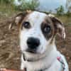 Entdecker MURPHY sucht seine Familie