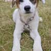 Entdecker MURPHY sucht seine Familie