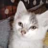 BOBBIE
