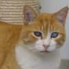 RON