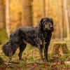 JAMPY * sportlicher Schmuser