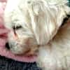 Aros sucht DICH