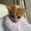 KIMY