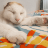 COTON QCT