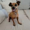 Roxy la coquine