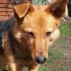 YUKI  Pfiffiges Hasenherz sucht...