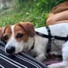 Süße Sally🌺 sucht liebevolles Zuhause