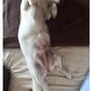 Süße Sally🌺 sucht liebevolles Zuhause