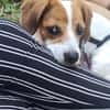 Süße Sally🌺 sucht liebevolles Zuhause