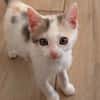 MANDY