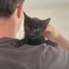 OMBRA