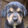 Mable auf Familiensuche