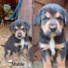 Mable auf Familiensuche