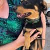 Grisu sucht eine liebevolle Familie