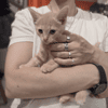 BOBBIE (a trouvé sa famille)