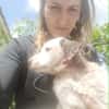PIPPI