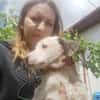 PIPPI