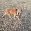 Feliks