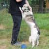 Lou sucht ein liebevolles Zuhause