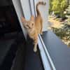 Jamie sucht ein Zuhause
